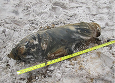 uxo identification